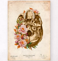 Schädel Anatomie V - Floral - Vintage | Codex Anatomicus Fashion