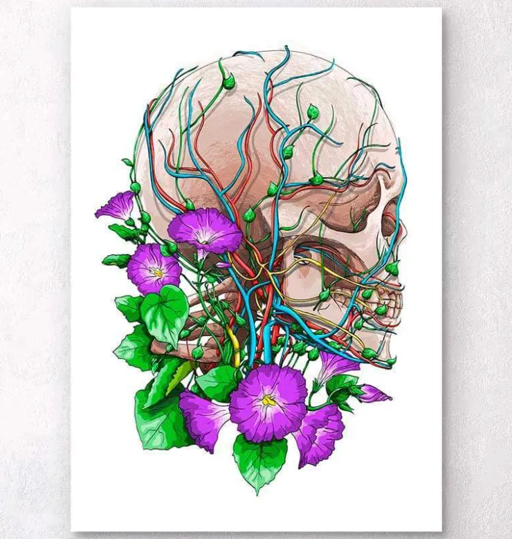 Schädel mit Blumen | Codex Anatomicus Hot