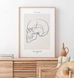 Schädel sagittale Ansicht - Line-Art | Codex Anatomicus Sale