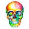 Schädelaufkleber - Aquarell | Codex Anatomicus Online