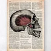 Schädelkunstdruck - Altes Wörterbuch | Codex Anatomicus Hot