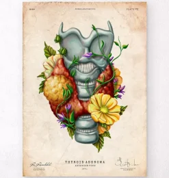 Schilddrüsenadenom - Floral - Vintage | Codex Anatomicus Outlet