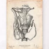 Schilddrüsenanatomie Kunst | Codex Anatomicus Sale
