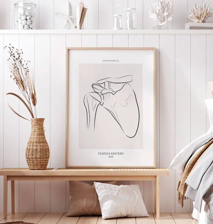 Schulter Anatomie - Line-Art | Codex Anatomicus Sale