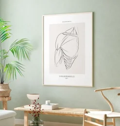 Schulter Anatomie - Line-Art | Codex Anatomicus Outlet