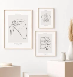 Schulter Anatomie - Line-Art | Codex Anatomicus Sale