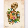 Skelett Anatomie - Floral - Vintage | Codex Anatomicus Hot