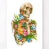 Skelett Anatomie - Floral - Weiß | Codex Anatomicus Online