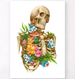 Skelett Anatomie - Floral - Weiß | Codex Anatomicus Online