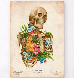 Skelett Anatomie - Floral - Vintage | Codex Anatomicus Hot