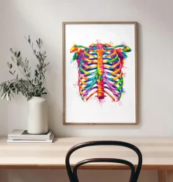 Thorax - Aquarell | Codex Anatomicus Clearance