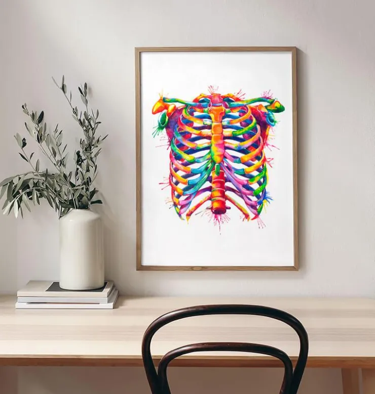 Thorax - Aquarell | Codex Anatomicus Clearance