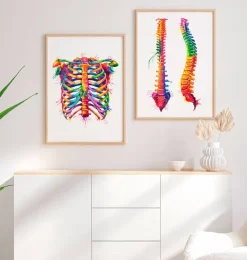 Thorax - Aquarell | Codex Anatomicus Clearance