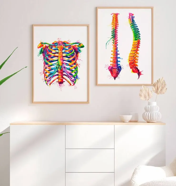 Thorax - Aquarell | Codex Anatomicus Clearance