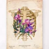 Thorax Anatomie - Floral - Altes Papier | Codex Anatomicus Online