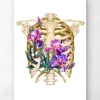 Thorax Anatomie - Floral - Weiß | Codex Anatomicus Online