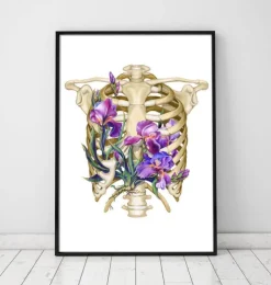 Thorax Anatomie - Floral - Weiß | Codex Anatomicus Online