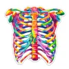 Thorax Anatomie Aufkleber - Aquarell | Codex Anatomicus Best