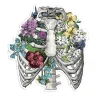 Thorax Anatomie Aufkleber III - Floral | Codex Anatomicus New