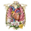 Thorax Anatomie Aufkleber - Floral | Codex Anatomicus New