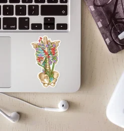 Thorax Anatomie Aufkleber II - Floral | Codex Anatomicus Discount