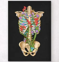 Thorax Anatomie II - Floral - Schwarz | Codex Anatomicus New
