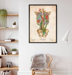 Thorax Anatomie II - Floral - Vintage | Codex Anatomicus Hot