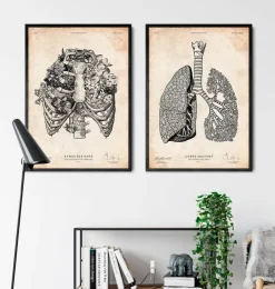 Thorax Kunst | Codex Anatomicus Sale