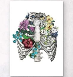 Thorax mit Blumen | Codex Anatomicus Clearance