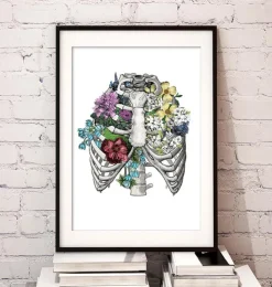 Thorax mit Blumen | Codex Anatomicus Clearance