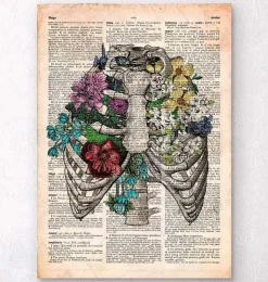 Thorax mit Blumen - Altes Wörterbuch | Codex Anatomicus Clearance