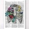 Thorax mit Blumen - Wörterbuch | Codex Anatomicus Online