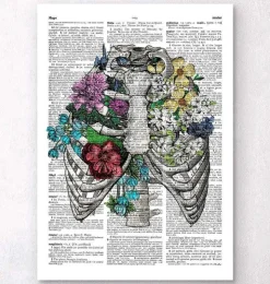 Thorax mit Blumen - Wörterbuch | Codex Anatomicus Online