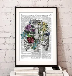 Thorax mit Blumen - Wörterbuch | Codex Anatomicus Online