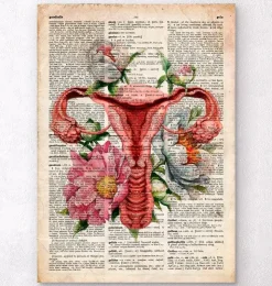 Uterus Anatomie - Floral - Altes Wörterbuch | Codex Anatomicus Clearance