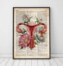 Uterus Anatomie - Floral - Altes Wörterbuch | Codex Anatomicus Clearance