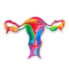 Uterus Anatomie Aufkleber - Aquarell | Codex Anatomicus Online