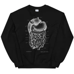 Verdauungssystem Unisex Sweatshirt - Chalkboard | Codex Anatomicus Outlet