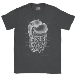 Verdauungssystem Unisex T-Shirt - Chalkboard | Codex Anatomicus Online