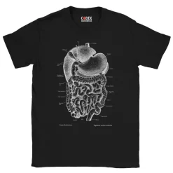 Verdauungssystem Unisex T-Shirt - Chalkboard | Codex Anatomicus Online