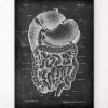 Verdauungssystems Anatomie- Chalkboard | Codex Anatomicus Discount