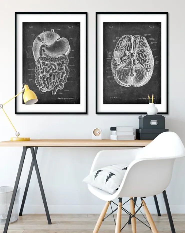 Verdauungssystems Anatomie- Chalkboard | Codex Anatomicus Discount