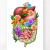 Verdauungstrakt - Floral - Weiß | Codex Anatomicus Outlet