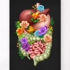 Verdauungstrakt - Floral - Schwarz | Codex Anatomicus New