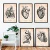 Vintage Herz Anatomie - 5er Set | Codex Anatomicus Discount