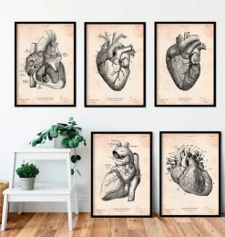 Vintage Herz Anatomie - 5er Set | Codex Anatomicus Discount