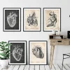 Vintage und Chalkboard Herz Anatomie - 5er Set | Codex Anatomicus Online