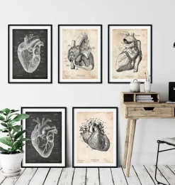 Vintage und Chalkboard Herz Anatomie - 5er Set | Codex Anatomicus Online