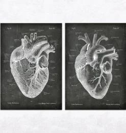 Vintage und Chalkboard Herz Anatomie - 5er Set | Codex Anatomicus Online