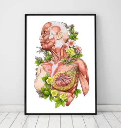 Weibliche Körper Anatomie - Weiß | Codex Anatomicus Best